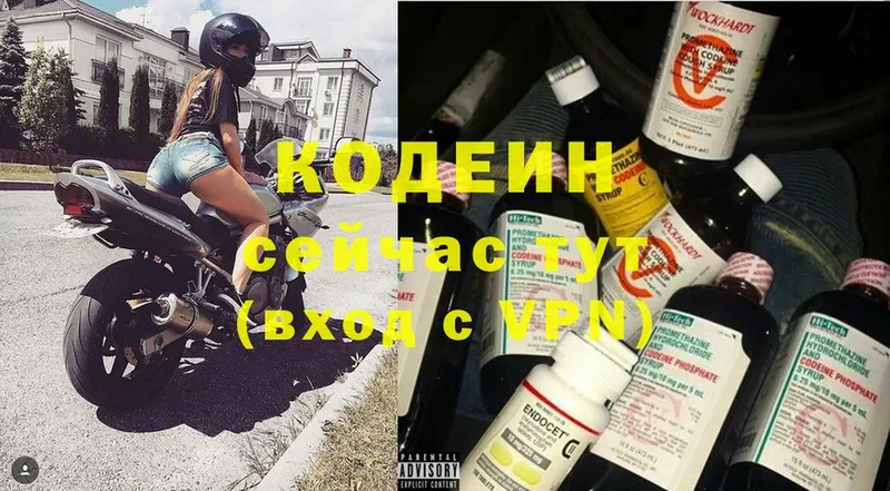 продажа наркотиков  Камышин  Codein Purple Drank 