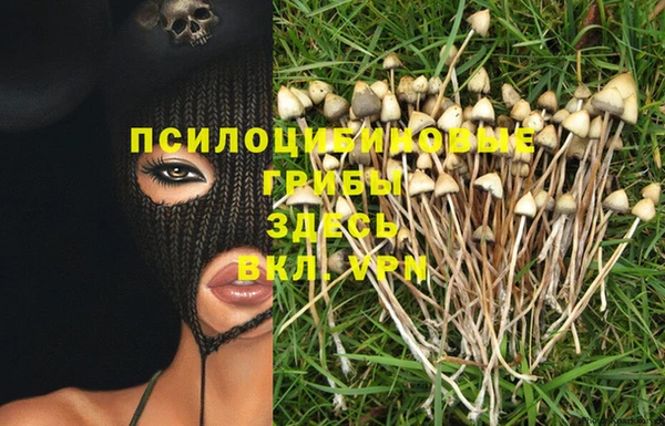 mdma Лиски