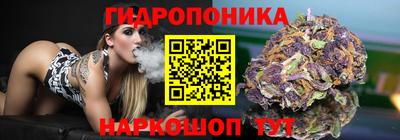 стафф Апшеронск