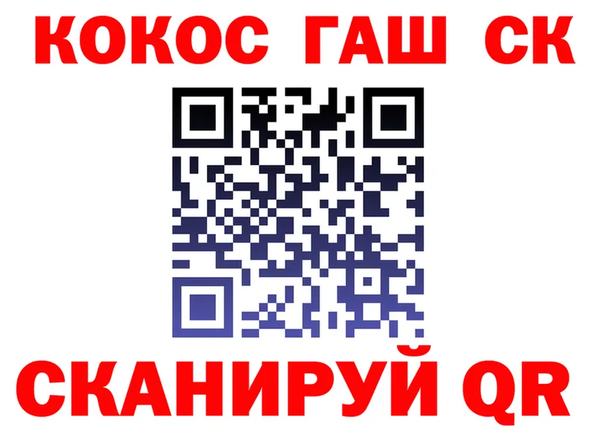 COCAIN Fish Scale как зайти shop OMG Камышин