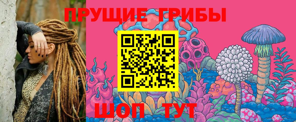 Псилоцибиновые грибы Psilocybe Камышин