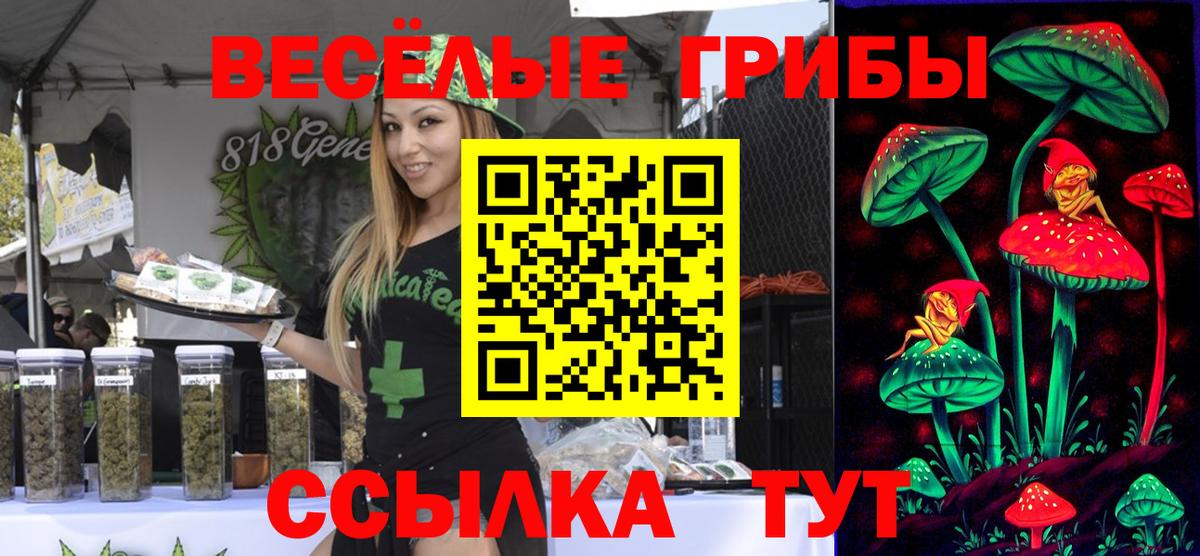 Камышин  Галлюциногенные грибы Psilocybe  Вход с VPN 